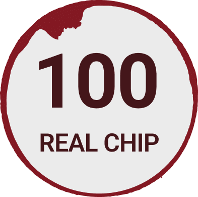 RealChip 100
